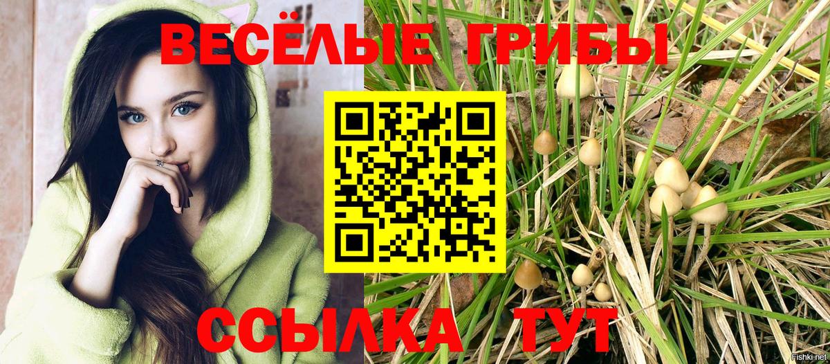 Галлюциногенные грибы прущие грибы Усолье-Сибирское